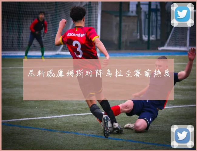 尼科威廉姆斯对阵乌拉圭赛前热度